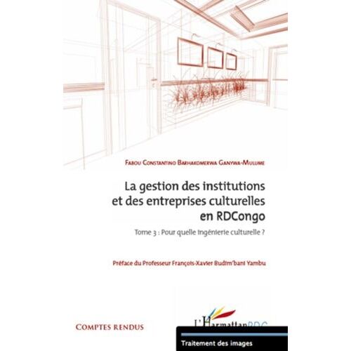 La Gestion Des Institutions Et Des Entreprises Culturelles En Rdc - Tome 3 : Pour Quelle Ingénierie Culturelle ?