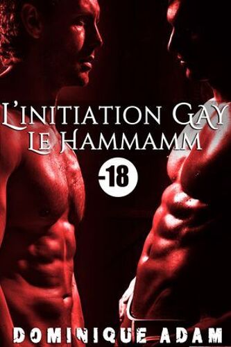 L'initiation Gay: Le Hammam