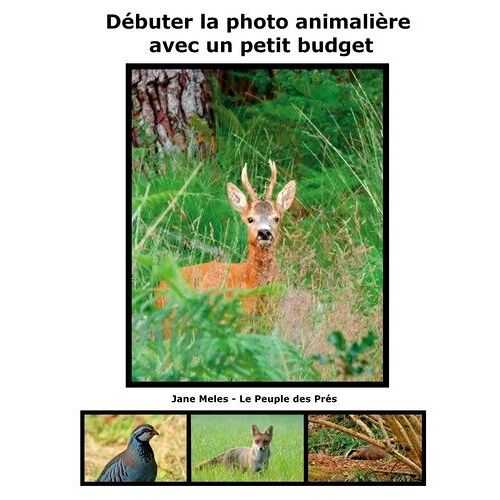 Débuter La Photo Animalière Avec Un Petit Budget