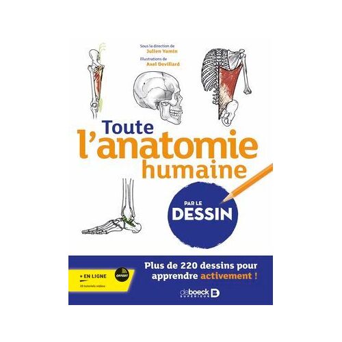 Toute L'anatomie Humaine Par Le Dessin
