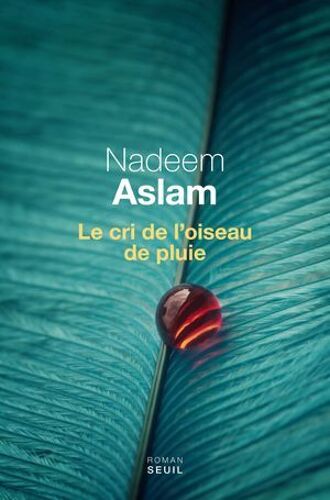Le Cri De L'oiseau De Pluie