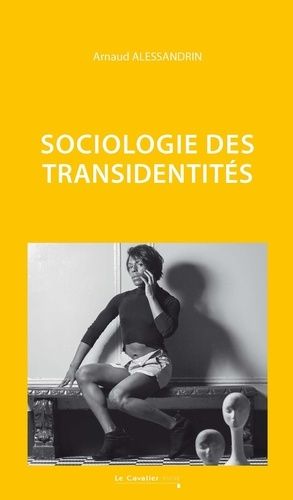 Sociologie Des Transidentités