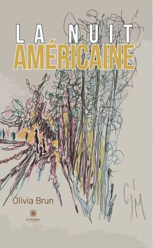 La Nuit Américaine