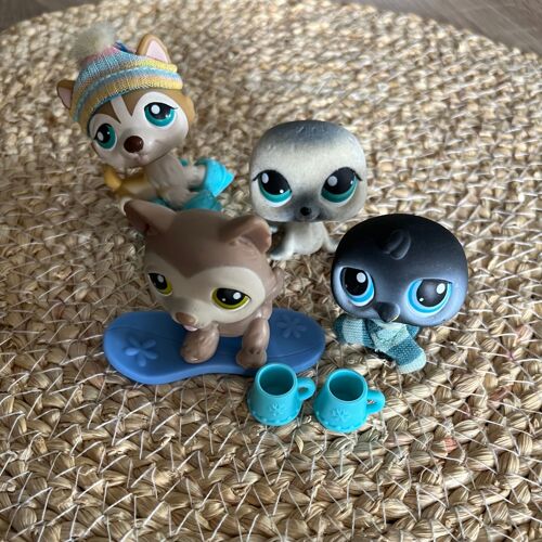 Lot De 4 Petshop Ski