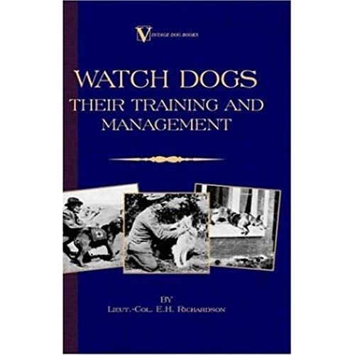 Watch Dogs