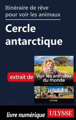 Itinéraire De Rêve Pour Voir Les Animaux - Cercle Antarticle