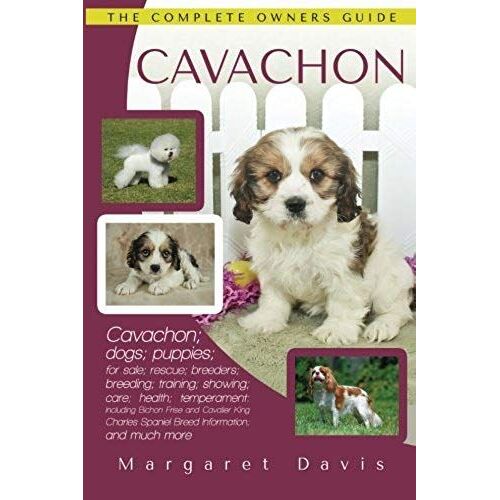 Cavachon