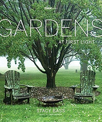 Gardens At First Light