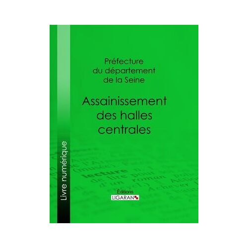 Assainissement Des Halles Centrales
