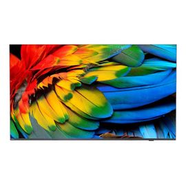 Philips 65HFL6214U - 65" Professional MediaSuite TV LCD rétro-éclairée par LED - soins de santé/hôtel - Smart TV - Android TV - 4K UHD (2160p) 3840 x 2160 - gris anthracite