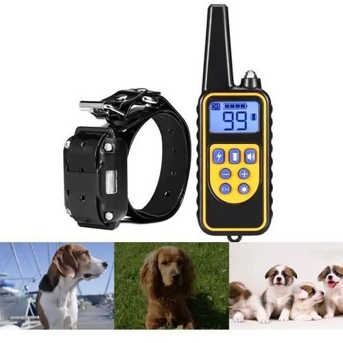 Collier De Dressage - Électrique - Rechargeable - Étanche - Vibration - Chocs Pour Chiens