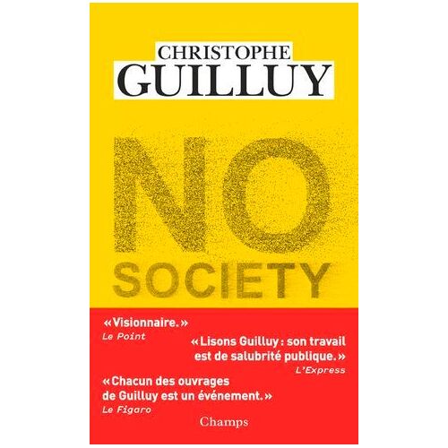 No Society. La Fin De La Classe Moyenne Occidentale