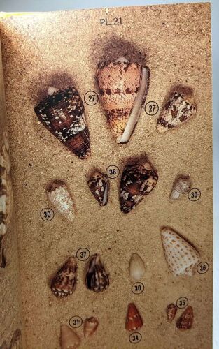 Faune Et Flore Des Tropiques. Coquillages Des Petites Antilles / Seashells Of The West Indies