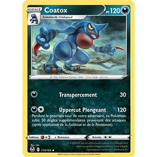 Coatox - 110/195 - Tempête Argentée