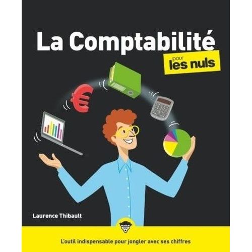 La Comptabilité Pour Les Nuls