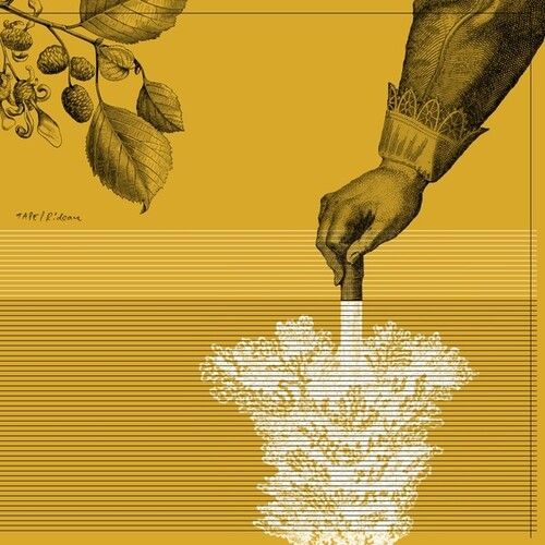 Tape - Rideau [Vinyl Lp]