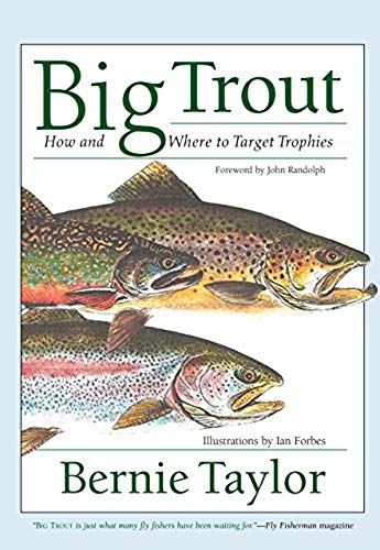 Big Trout: How And Where To Target Trophies