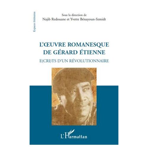 L'oeuvre Romanesque De Gérard Etienne