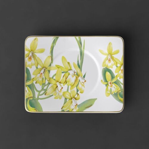 Amazonia Sous-Tasse
