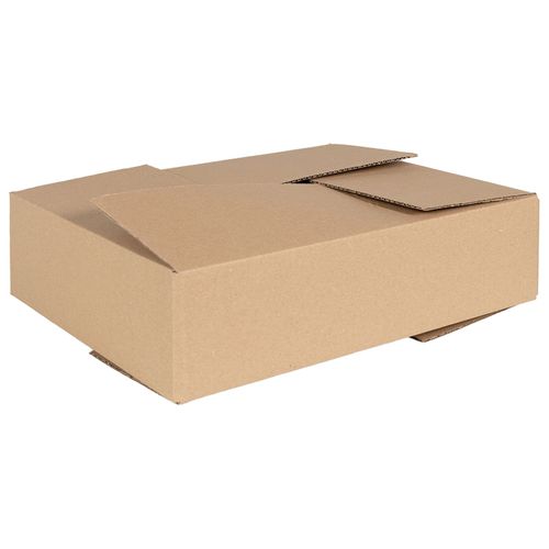 Vidaxl Boîte Pliable 50 Pcs 40x30x10 Cm Carton