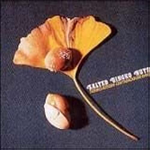 Shio Gin Nan (Salted Gingko Nuts)