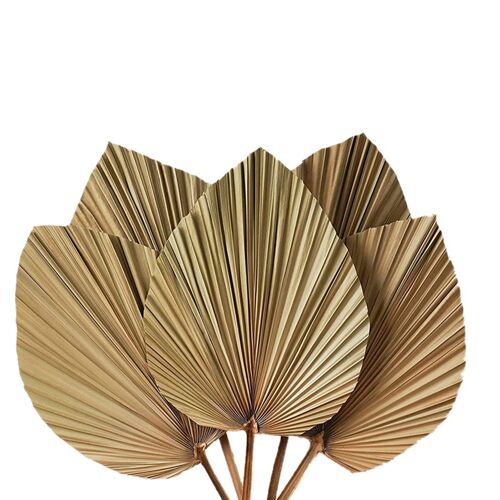 Feuilles De Palmier Séchées, 5 Pièces, 18 Pouces, H X 10 Pouces, Grand Décor De Palmier Naturel Pour Un Beau Look Boho