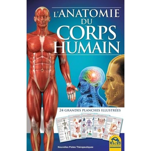 L'anatomie Du Corps Humain - 24 Grandes Planches Illustrées