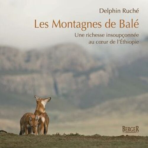 Les Montagnes De Balé