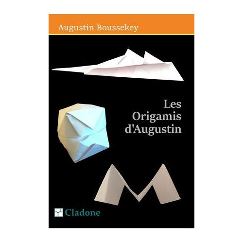 Les Origamis D'augustin