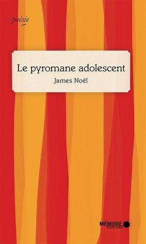 Le Pyromane Adolescent