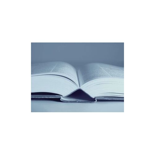 Idée Sur Le Mode Et La Sanction Des Loix