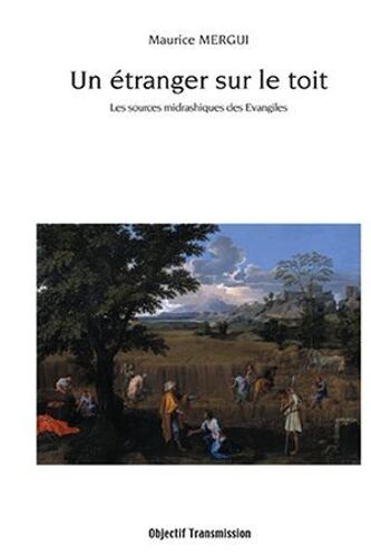 Un Etranger Sur Le Toit