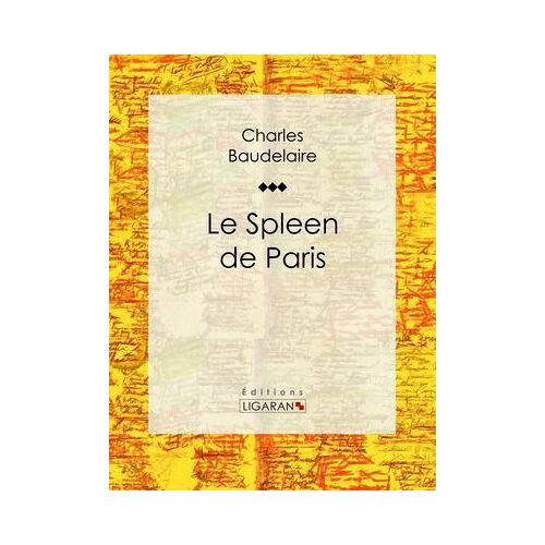 Le Spleen De Paris