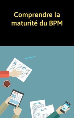 Comprendre La Maturité Du Bpm