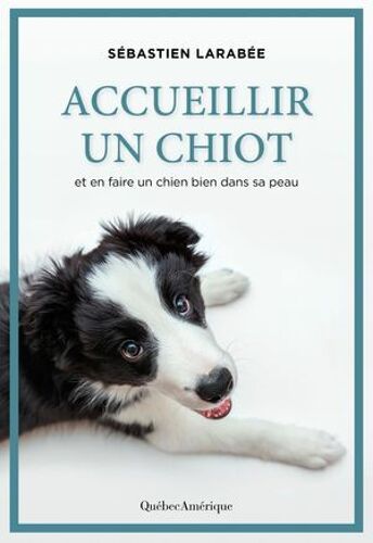 Accueillir Un Chiot