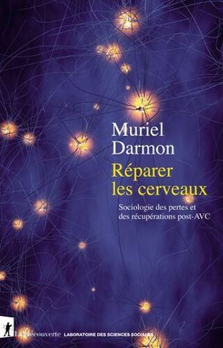 Réparer Les Cerveaux - Sociologie Des Pertes Et Des Récupérations Post-Avc