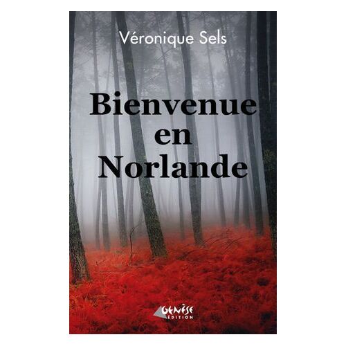 Bienvenue En Norlande