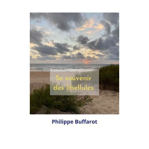 Se Souvenir Des Libellules