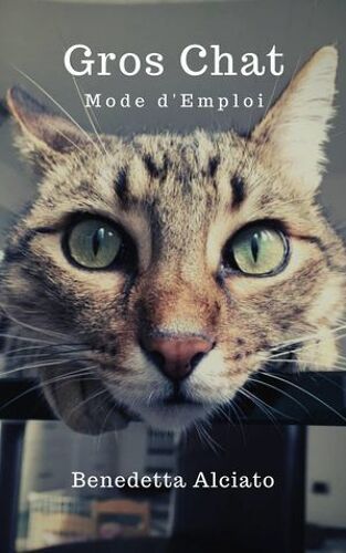 Gros Chat : Mode D'emploi