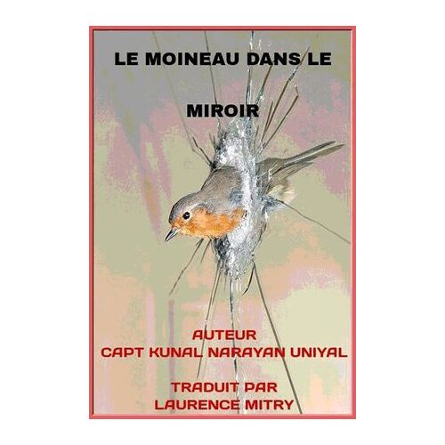 Le Moineau Dans Le Miroir