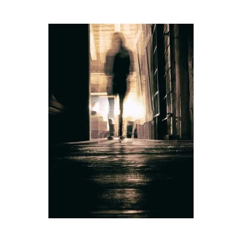 Les Choix De L'ombre