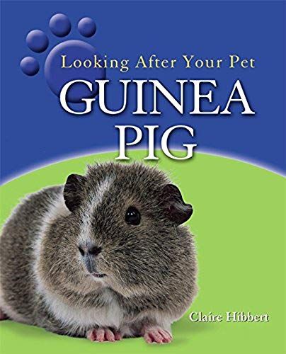 Guinea Pig (Looking After Your Pet)