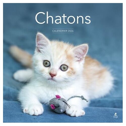 Calendrier Chatons - Edition 2026