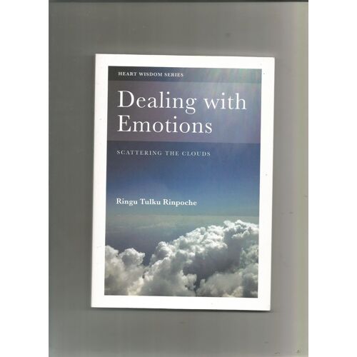 Dealing With Emotions