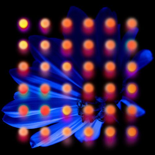 Anberlin - Nevertake [Vinyl Lp]