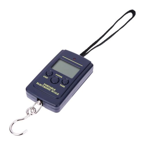 Balance à crochet électronique Portable LCD numérique, pour la pêche, bagage, voyage, poids 40kg x 10g
