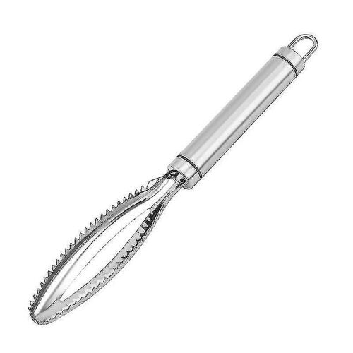 Fish Scaler Brush Fish Scaler Remover Avec Dent De Scie En Acier Inoxydable (1pcs, Argent)