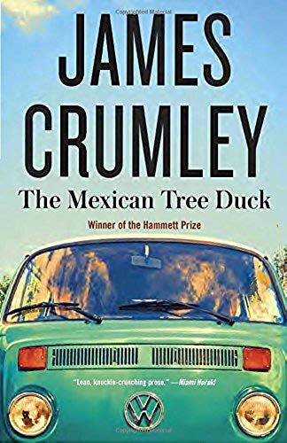 The Mexican Tree Duck