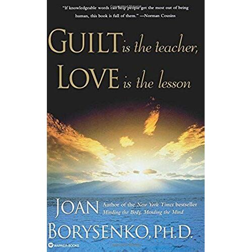 Guilt Is The Teacher, Love Is The Lesson