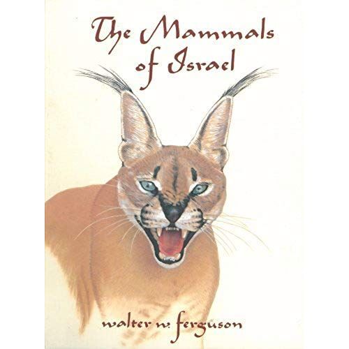 The Mammals Of Israel